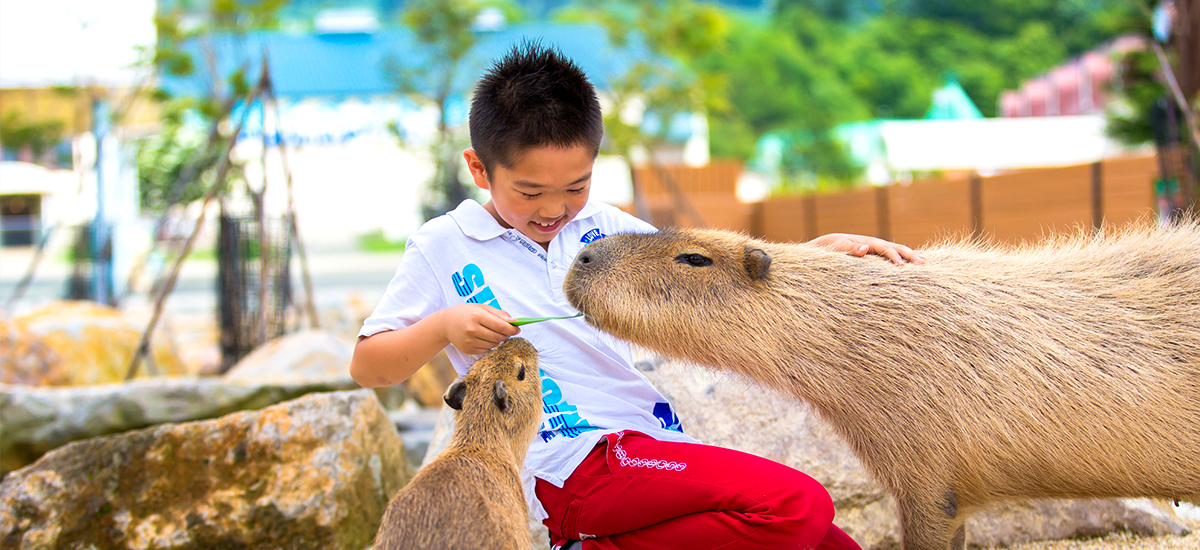 Nasu_animal_kingdom_2