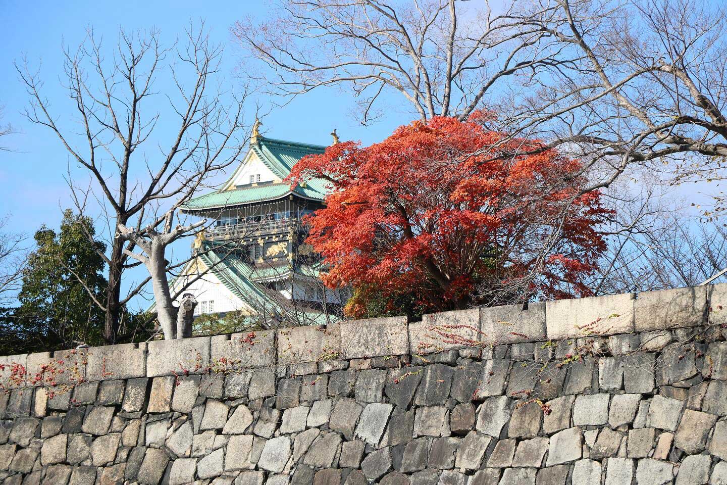 大阪城公園