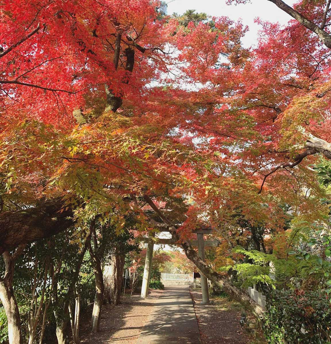 箕面公園